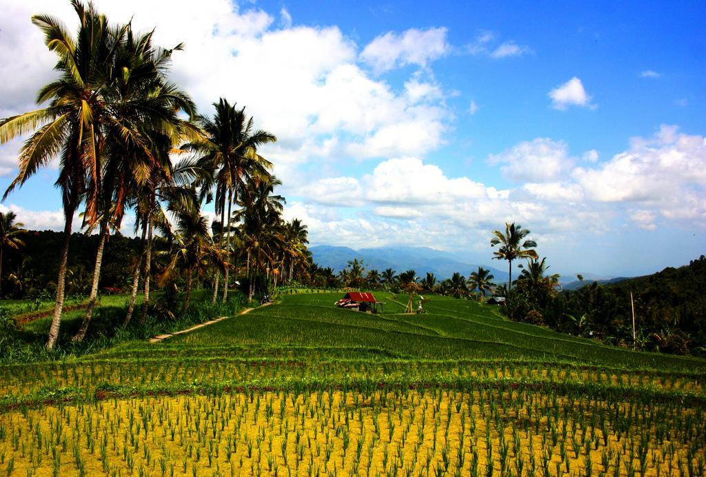 Puri Alam Bali Munduk Exterior foto