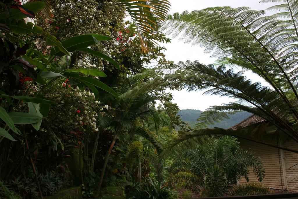 Puri Alam Bali Munduk Exterior foto