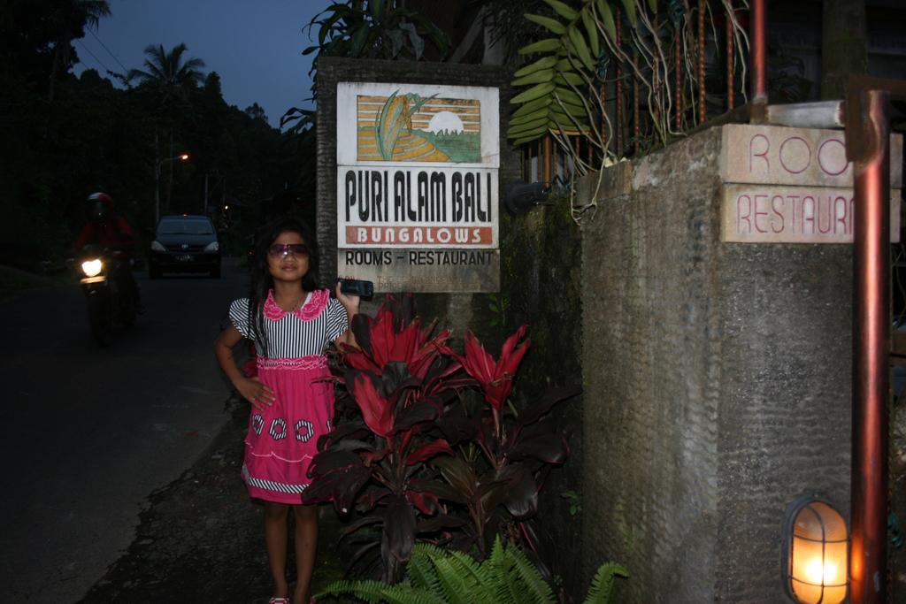 Puri Alam Bali Munduk Exterior foto